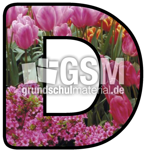 Dekobuchstaben-Tulpe_D.jpg